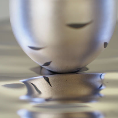 Moonlight Series - Silver Willow Procelain Cup